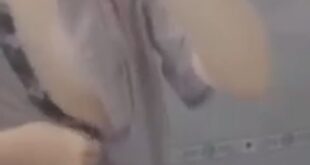 Áo ướt sũng