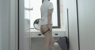 Tiếp viên dâm đãng