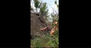 Địt nhau trong rừng siêu hay