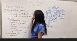 Em gái ngành y thuyết trình cách tạo ra em bé