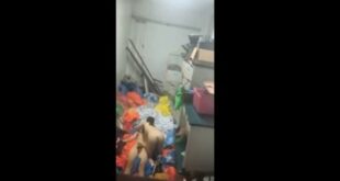 Cặp đôi lén lút địt nhau trong nhà kho của công ty